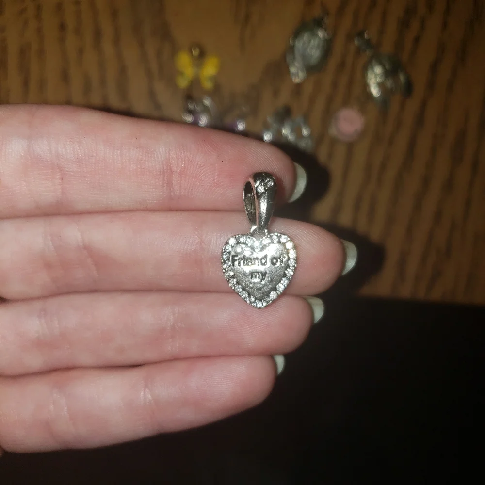 Random Charms Bundle - Picture 7 of 7
